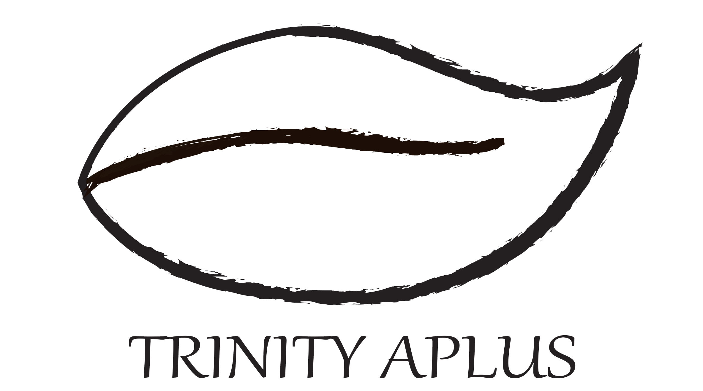 trinityaplus.com